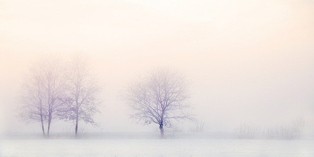 1665035391-winter-landscape-ga3e9309d1_640