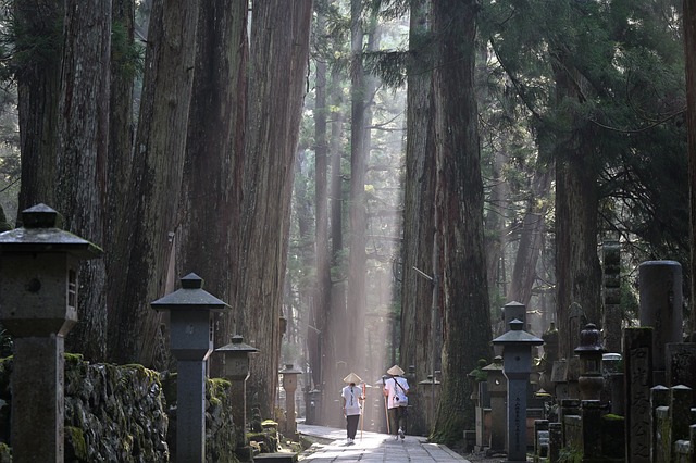 1665629842-koyasan-temple-g48047d10e_640