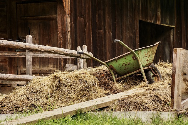 barn-g2117d2aa8_640