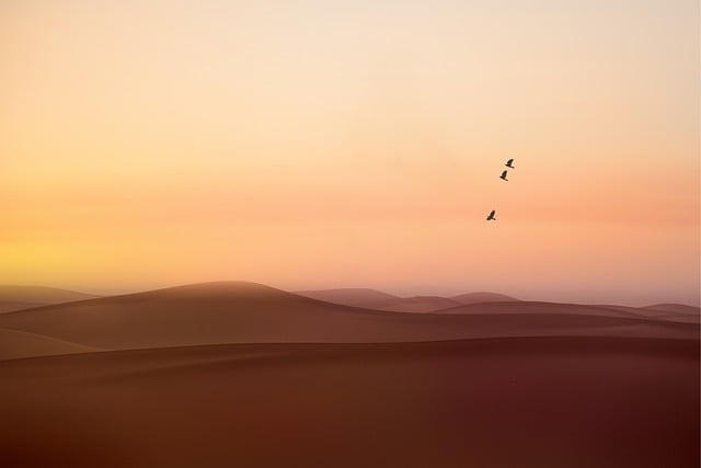 desert-8592629_640