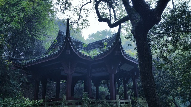 hangzhou-1534149_640