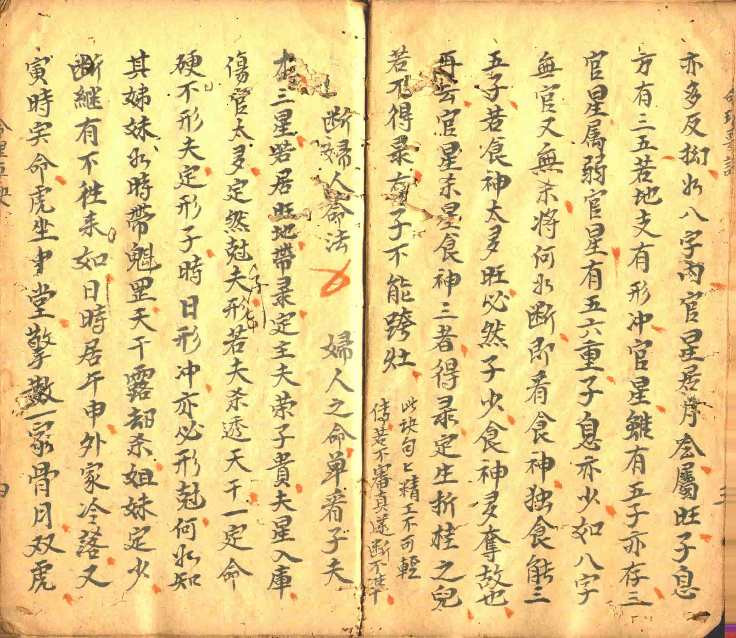 mingliyongshu5