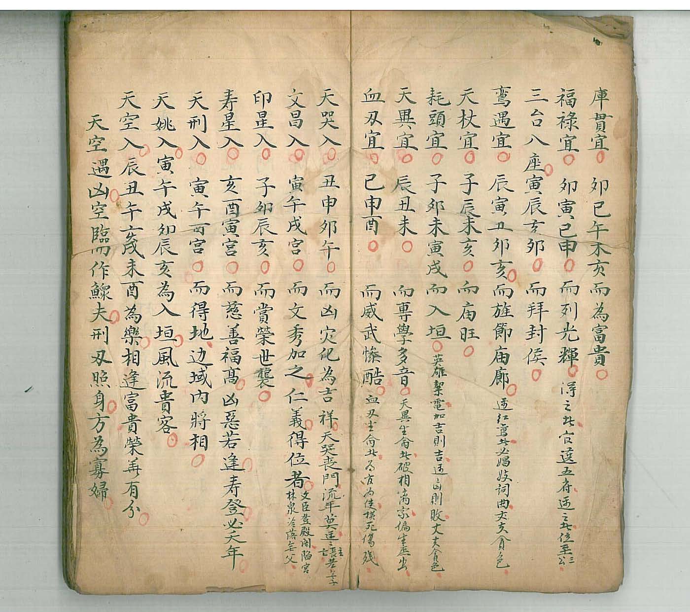 zhengmingershiba5